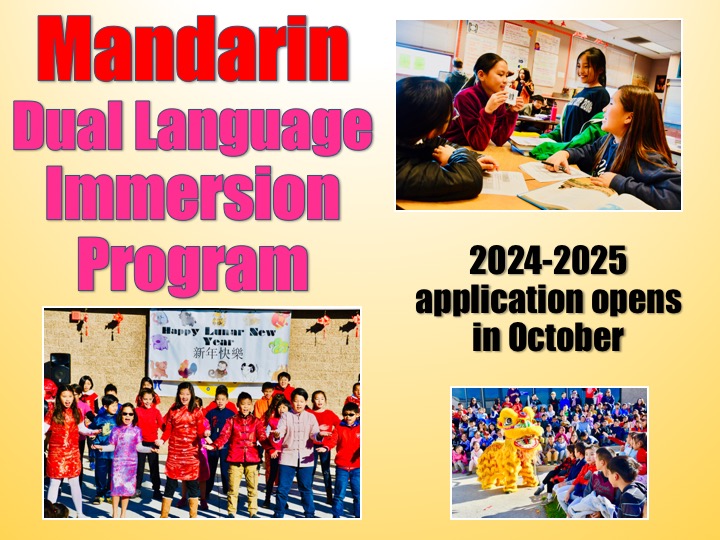 Mandarin Dual Language slide